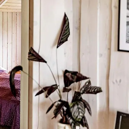 8 Person In Sydals-by Traum Viboge